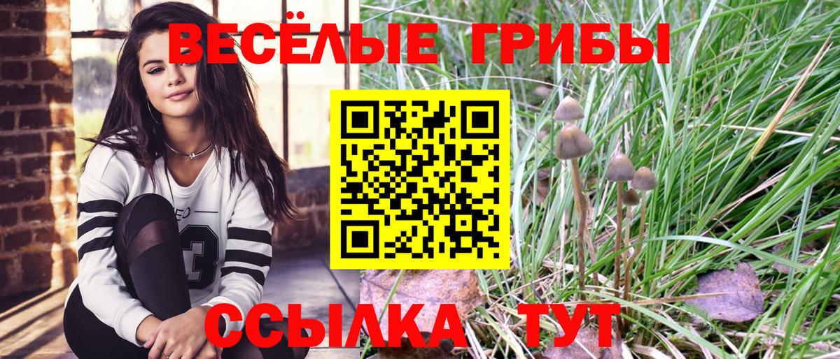 Псилоцибиновые грибы ЛСД Орёл